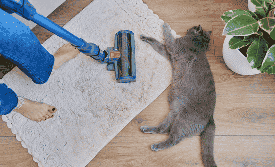 Pet-Safe Cleaning Tips for the Home by Surface