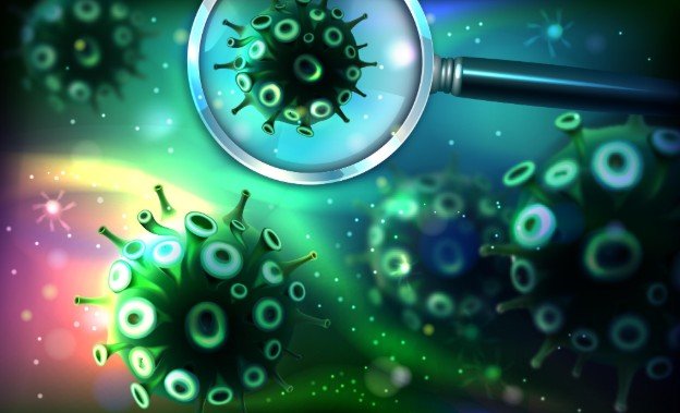 Antimicrobial vs Antibacterial vs Disinfectant
